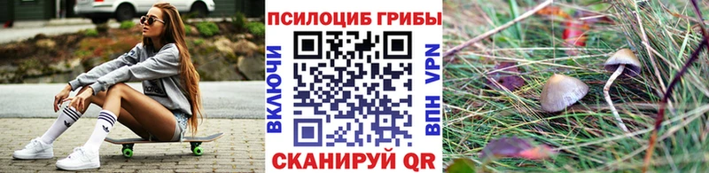 Псилоцибиновые грибы Psilocybine cubensis  где можно купить наркотик  Свирск 